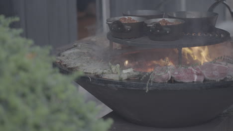 meat and fish baking in slowmotion on a plate barbeque log