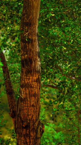 closeup of a tree trunk with green leaves in the background