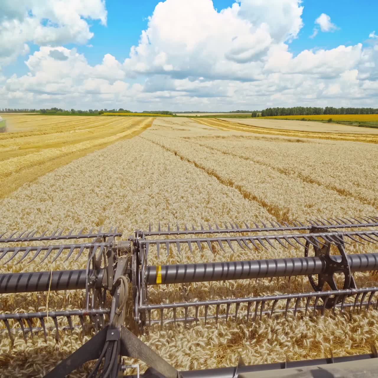 Harvesters working in field
