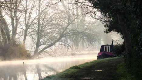 canal boat in a foggy morning with a duck to the left