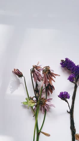 건조한 꽃 조리
