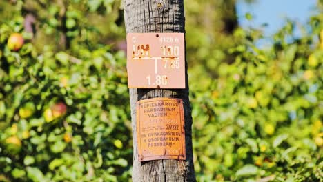 faded metal danger signs attached to pole in lush fruit orchard with sunlight glare