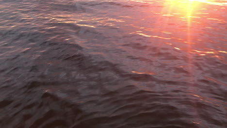 sun rays reflecting on water. static shot