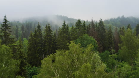 Feuchte-Und-Neblige-Waldgebirgskette-Am-Morgen,-Drohnenaufnahme-Aus-Der-Luft