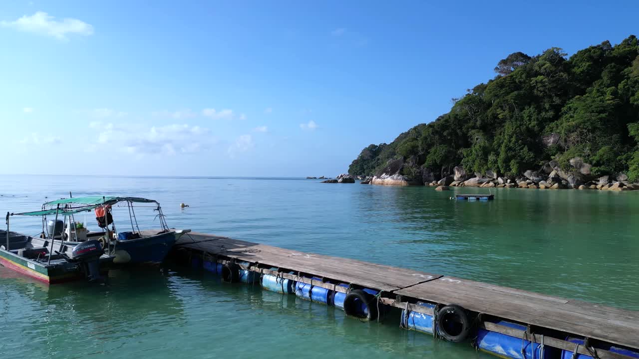 제티 해변 나무 부드러운 바위