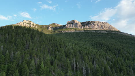 gorgeous golden mountains tower over shaded evergreen pine tree forest with big blue sky as a backdrop