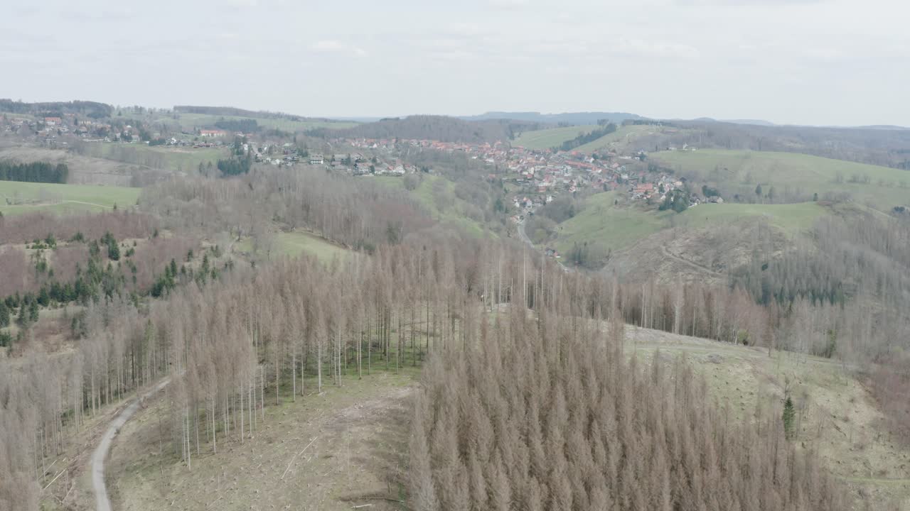 vistas aéreas de drones del parque nacional de harz en alemania central