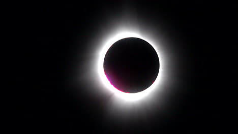 total solar eclipse with pink chromosphere, prominences, bailey's beads and diamond ring effect visible