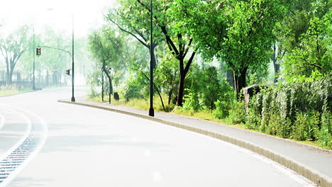 View-of-empty-road-with-lamp-post-and-sunlight