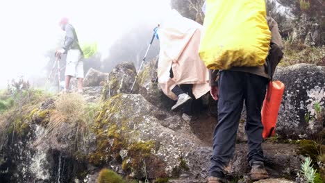 excursionistas caminan con mochilas y palos de senderismo mientras caminan por el monte kilimanjaro en la niebla