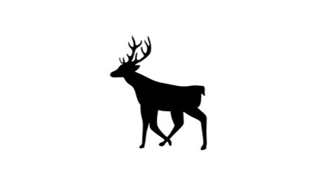 Digital-animation-of-black-silhouette-of-reindeer-walking-against-white-background