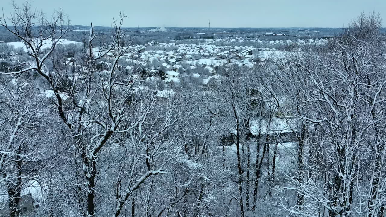 신선한 겨울 눈으로 덮인 숲 나무