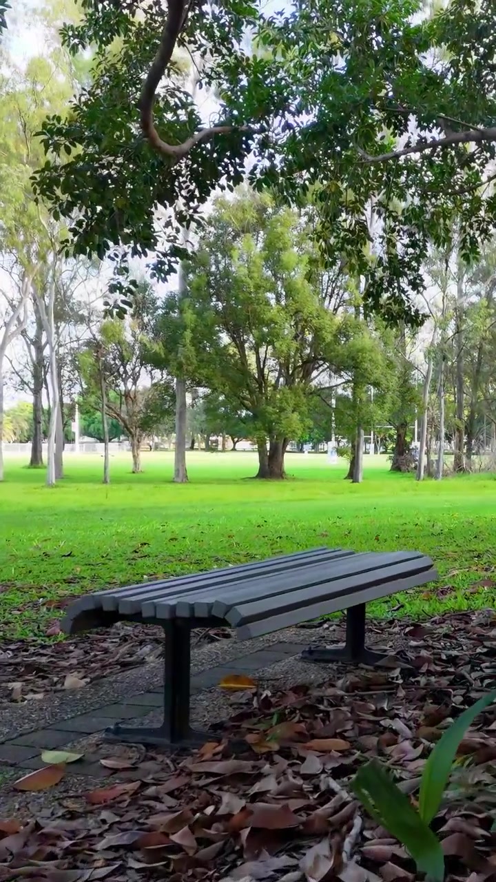 Una escena de parque tranquila con un banco y árboles frondosos bajo la suave luz del día, capturada en Gold Coast, Australia.