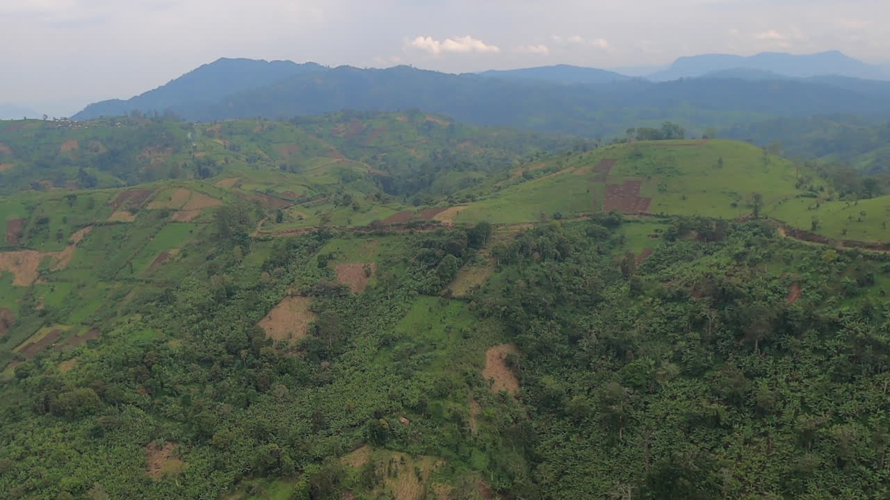 vuelo brumoso sobre mosaico de campos de cultivo en empinadas laderas de la selva