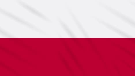 poland flag waving cloth background, loop