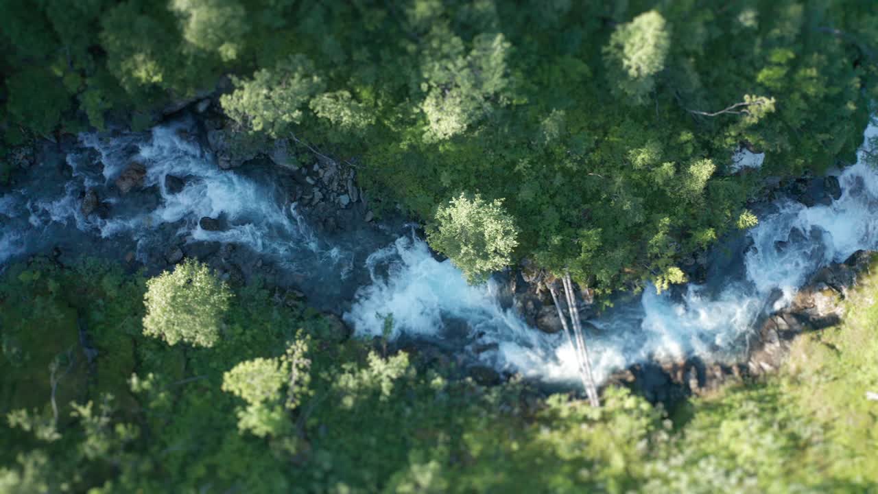 Un bellissimo fiume impetuoso scorre sulle rapide, superando le curve, schizzando sulle rocce, facendo molto rumore e creando schiuma bianca