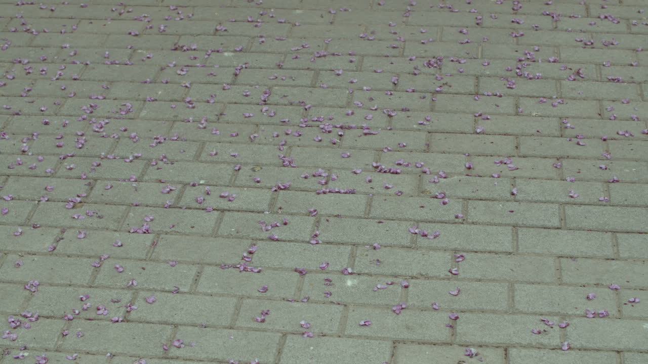 봄 에 보행자 를 고 있는 농작물 사람