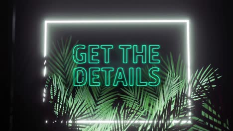 Animation-of-get-the-details-text-and-rectangle-frame-in-white-neon,-over-palm-leaves-on-black