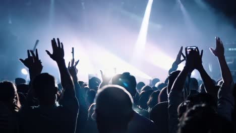 crowd at a concert with their hands raised