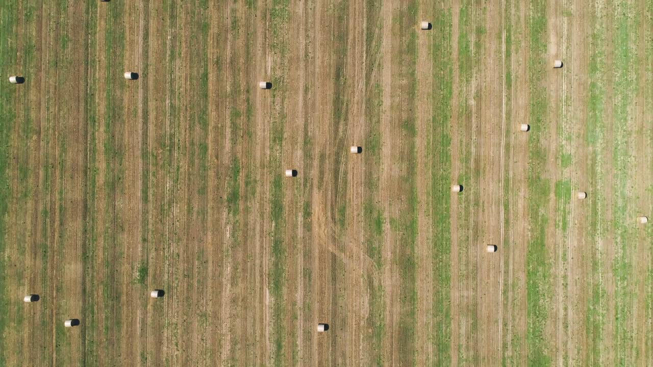 Top down view of hay bales on agriculture field