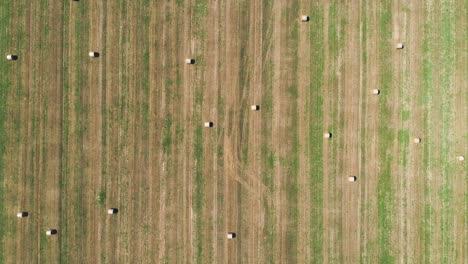 top down view of hay bales on agriculture field