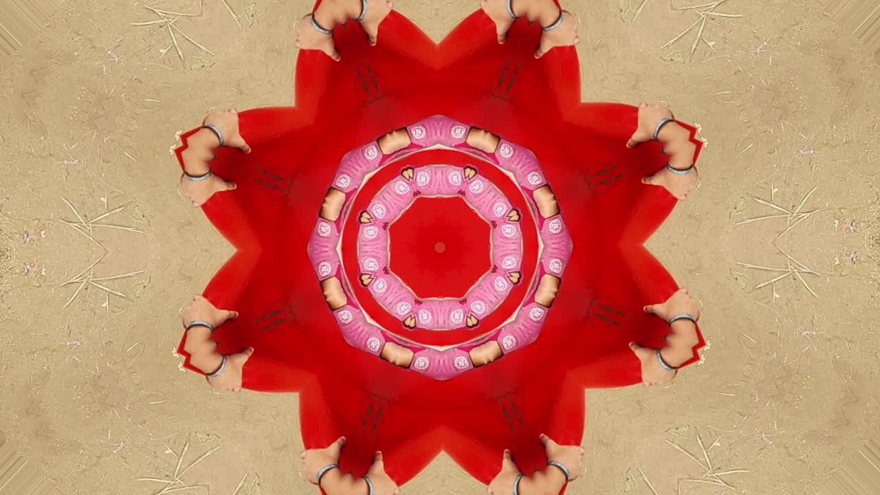 coloridos patrones simétricos caleidoscopio botánico mandala geometría papel tapiz - animación fractal multicolor ilustración vectorial tribal