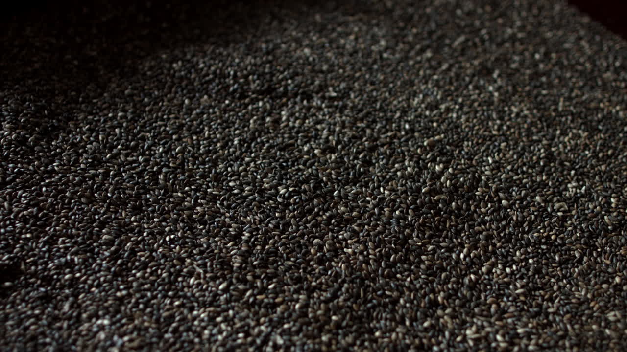 어두운 핵은 큰  ⁇ 어리로  ⁇ 혀 있습니다. 침 ⁇ 수 나무의 씨 ⁇ 은 콘에서 추출됩니다.