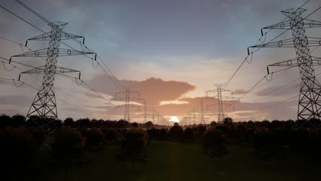 power lines at sunset through trees
