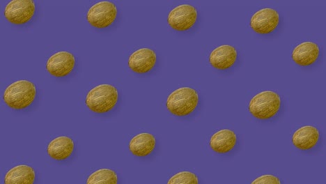 patrón de frutas coloridas de cocos frescos en fondo púrpura con sombras. patrón sin costuras con coco. animación realista. movimiento de video 4k
