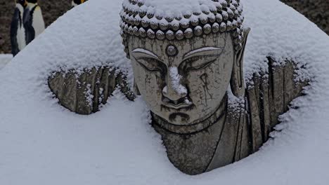 estatua de buda cubierta de nieve