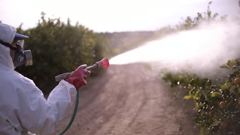 farmer spray insecticide, pesticide, pesticides or insecticides spraying on lemon trees agricultural field in spain