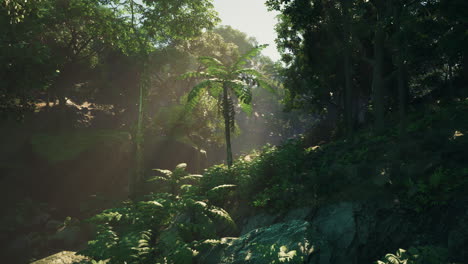 sunlight streaming through a lush tropical jungle