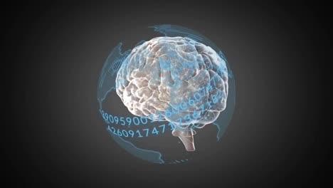 cerebro giratorio con números binarios animación en fondo oscuro