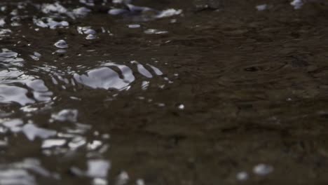 Close-Up-of-a-Stream-of-Water-with-Bubbles-at-Cullen-Gardens-Central-Park-in-Whitby,-Canada