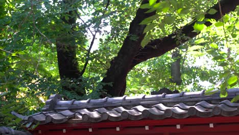 Typical-Japanese-rooftop-with-tiles-and-details-inside-Japanese-garden-with-tree