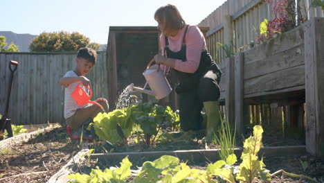 Abuela-Birracial-Mayor-Y-Nieto-Regando-Plantas-En-Un-Jardín-Soleado,-Cámara-Lenta