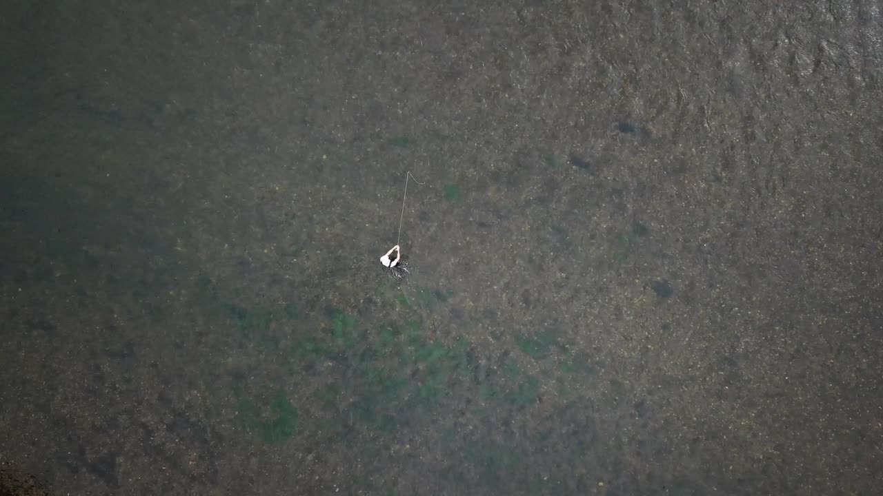 bajando el ojo de pájaro disparado por un dron sobre un hombre pescando con mosca en el río provo en las montañas de utah