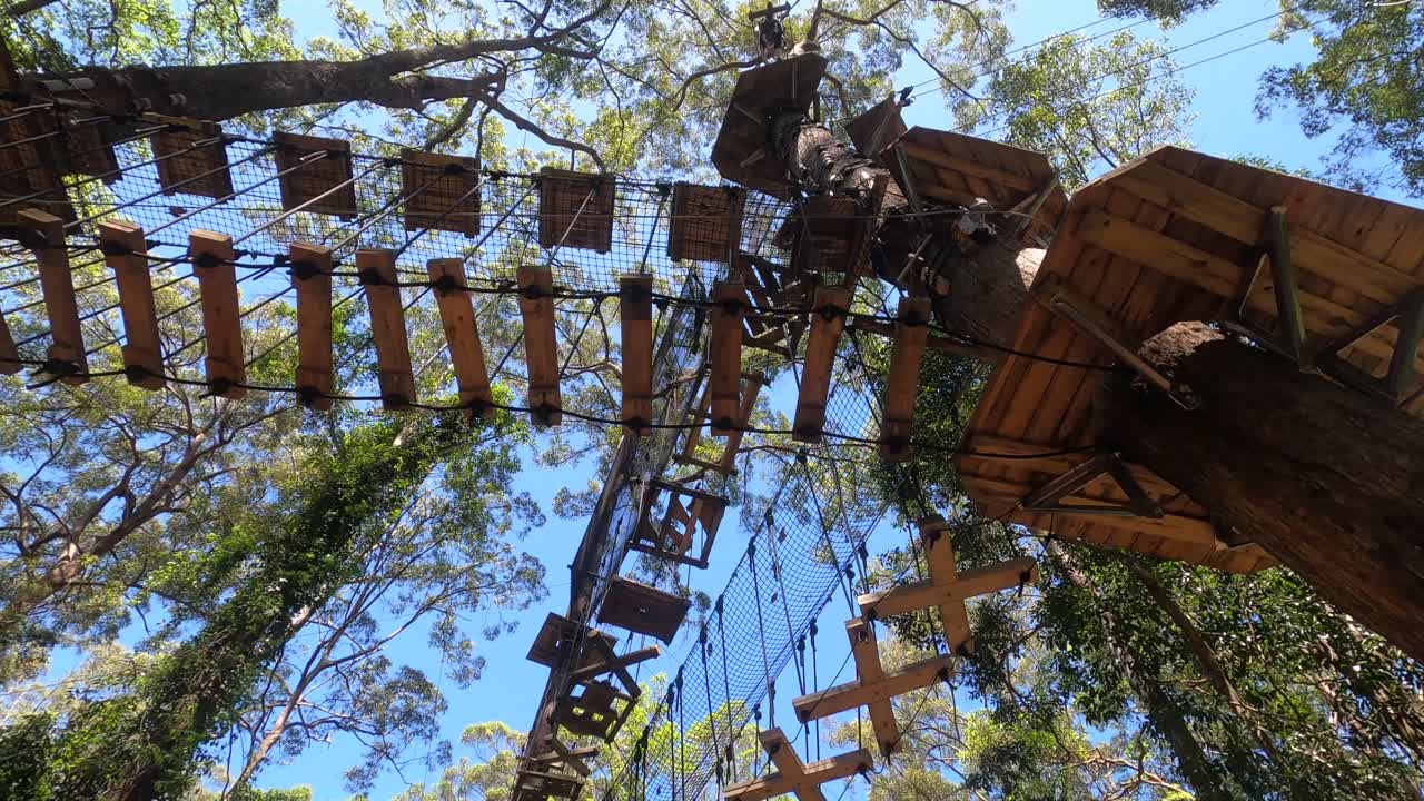 puentes colgantes tree top challenge