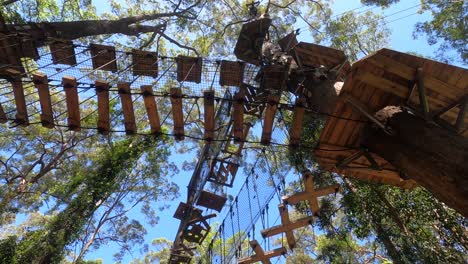 tree top challenge swing bridges