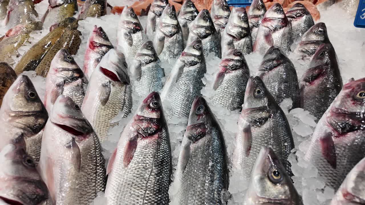 pescado fresco en el hielo en un mercado de pescado