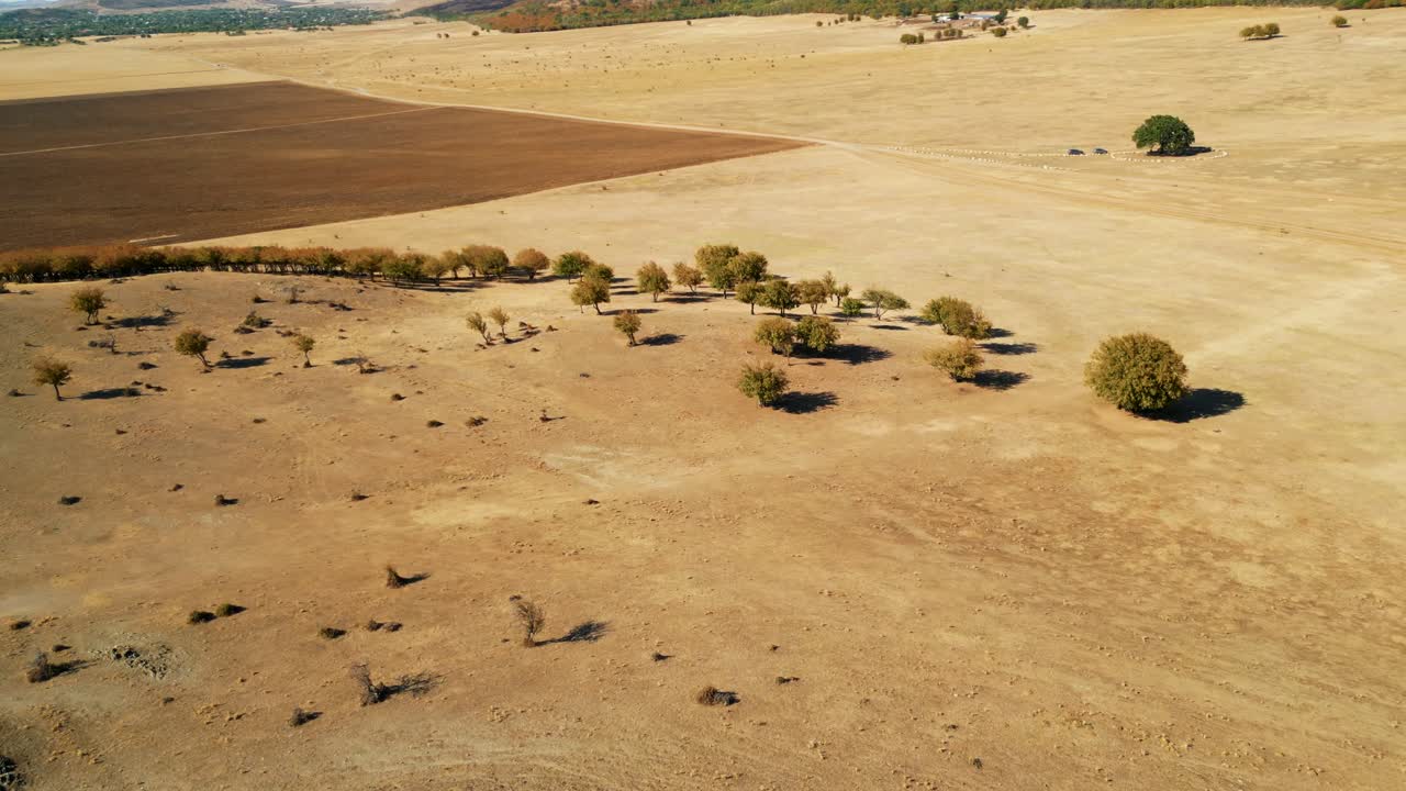 Măcin Mountains, Tulcea County, Romania - A Vast Landscape Stretches Across Rolling Plains, with Scattered Trees Casting Long Shadows Beneath Distant Rocky Hills and a Clear Sky - Aerial Drone Shot