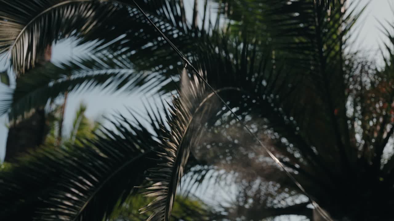 cooling mist system sprays fine water through tropical palm leaves