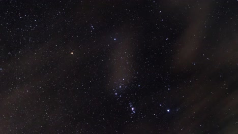 orion de noche con arbol