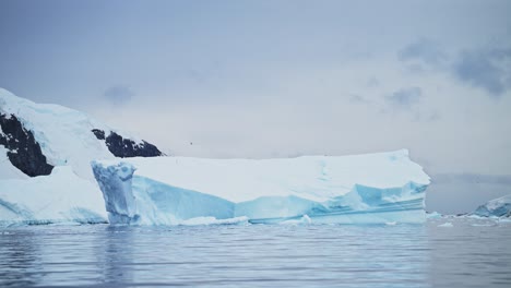 Iceberg-Al-Atardecer-Con-Pájaro-Volando-En-El-Paisaje-De-La-Antártida,-Ave-Marina-En-Vuelo-En-La-Península-De-La-Antártida-En-Un-Paisaje-Invernal-Con-Mar-Oceánico-Y-Nubes-Dramáticas-Al-Amanecer,-Vida-Salvaje-Costera-En-La-Costa