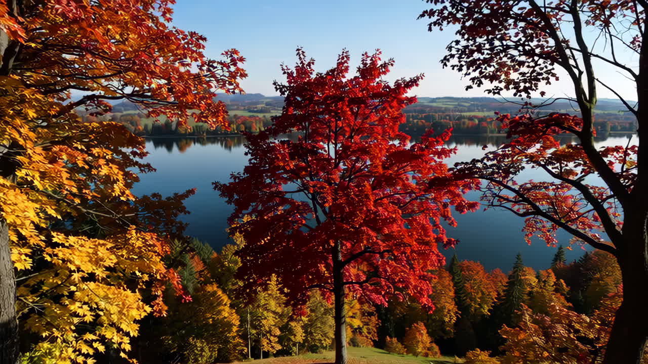 Vibrant Autumn Landscape with Lake and Colorful Trees