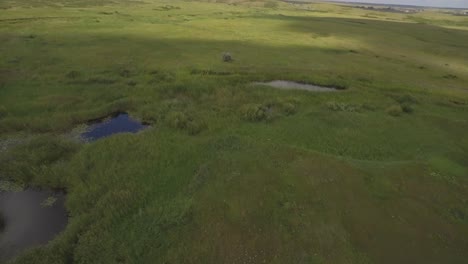 aerial view of a grassy meadow with ponds and streams