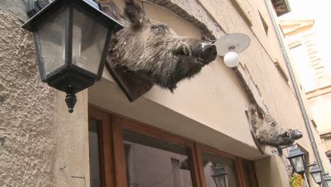 una cabeza de jabalí cuelga fuera de un restaurante en italia 1