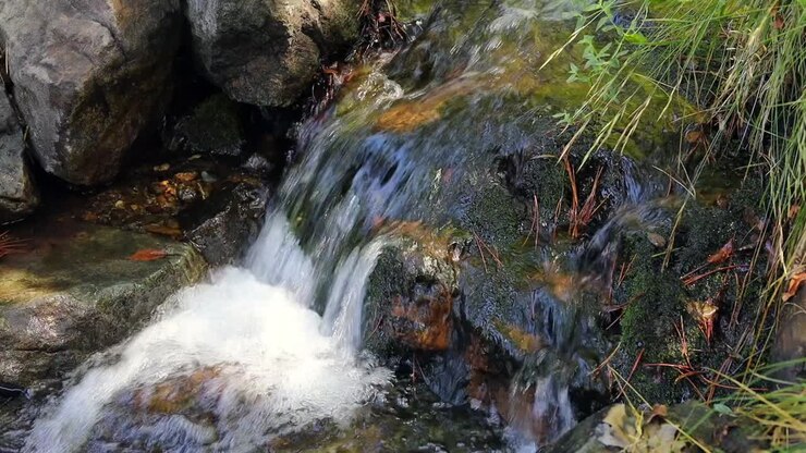 Static Close-up Of A Small Clear Stream Running Down The Troodos Mountains In Cyprus