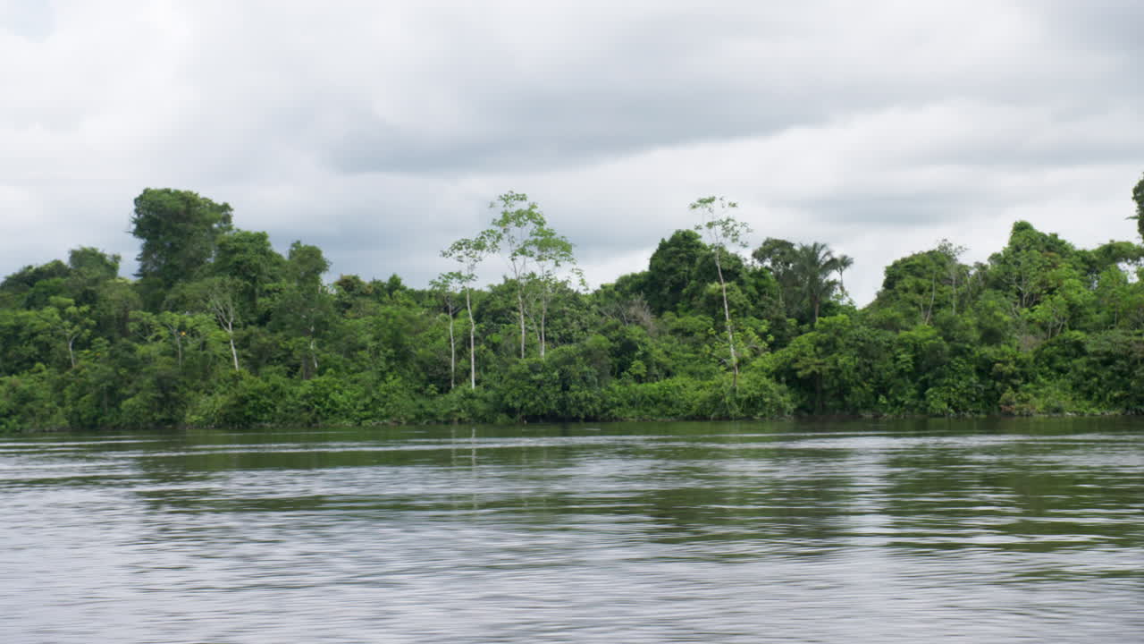 Wide shot of Amazonian rainforest from a moving boat on an overcast day
