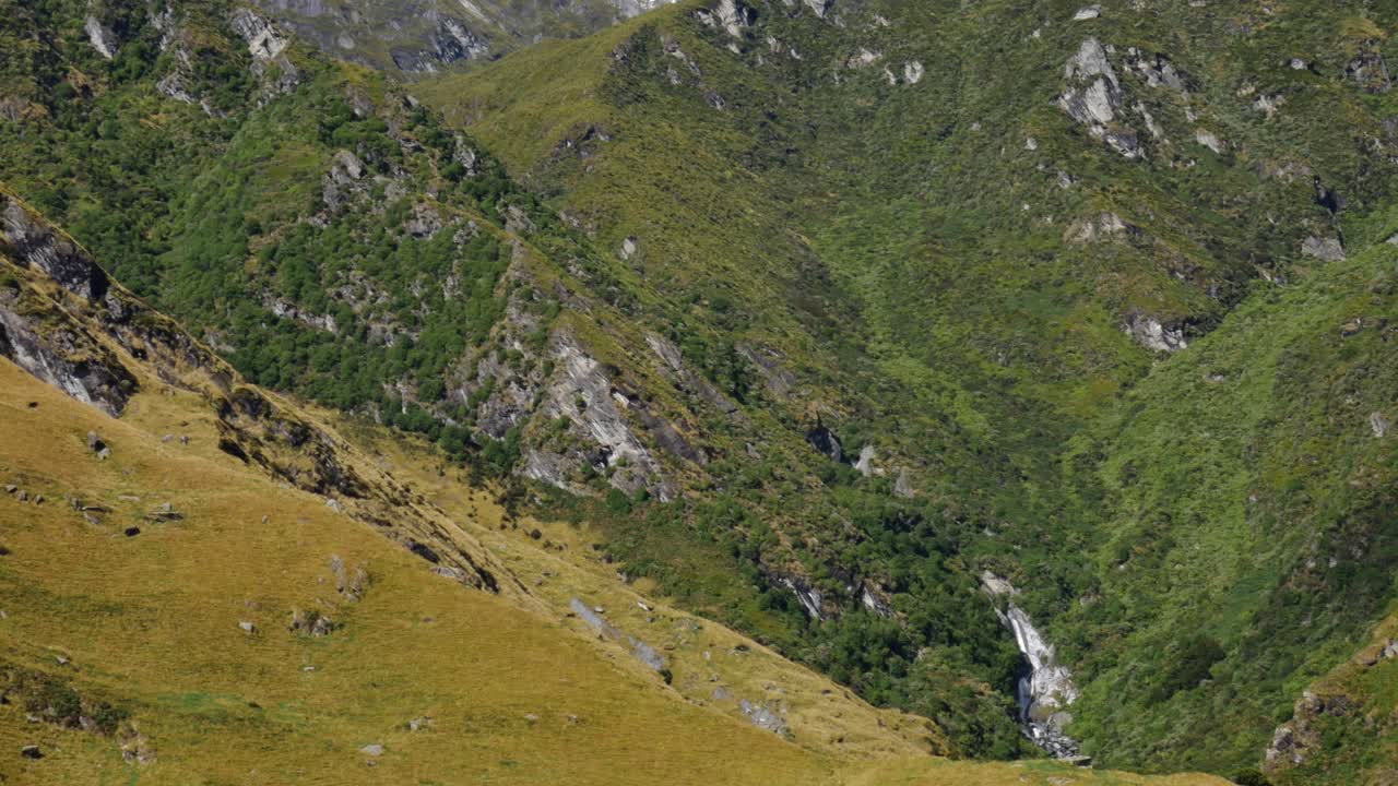 toma panorámica de la vasta cordillera con pico nevado en el parque nacional fiordland durante el verano
